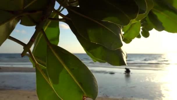 A praia de Koh Chang. — Vídeo de Stock