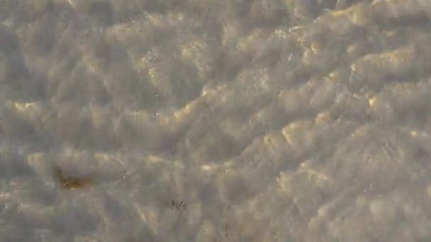 Pláž na ostrově. Sluneční paprsky ve vodě. — Stock video