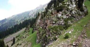 Dağlarda ormanla kaplı yeşil vadi..