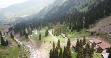 Dağlarda ormanla kaplı yeşil vadi..