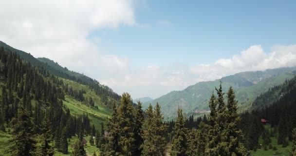 Gorge verte avec forêt dans les montagnes. — Video