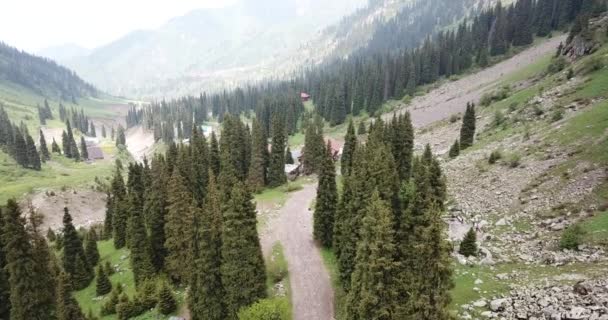 Gorge verte avec forêt dans les montagnes. — Video