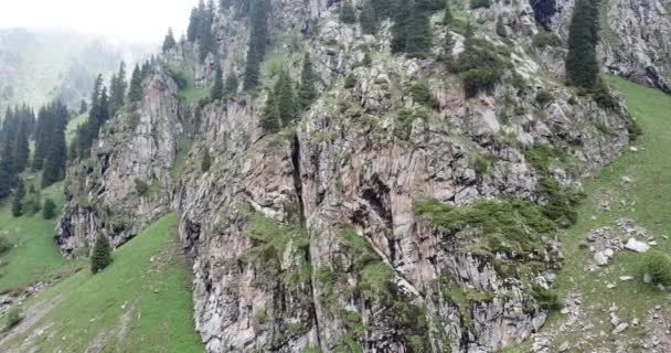 Grüne Schlucht mit Wald in den Bergen. — Stockvideo