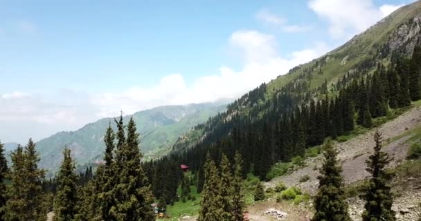 Gorge verte avec forêt dans les montagnes. — Video