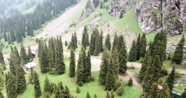 Garganta verde com floresta nas montanhas. — Vídeo de Stock