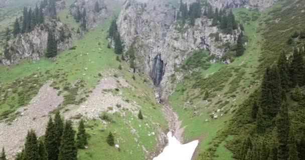 Grüne Schlucht mit Wald in den Bergen. — Stockvideo