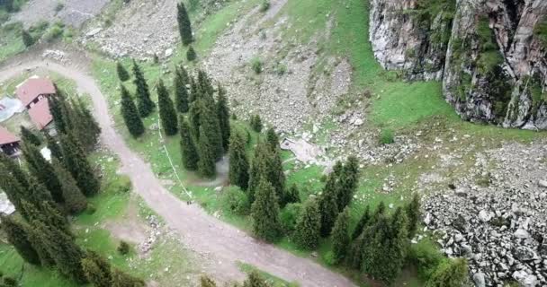 Garganta verde con bosque en las montañas. — Vídeos de Stock