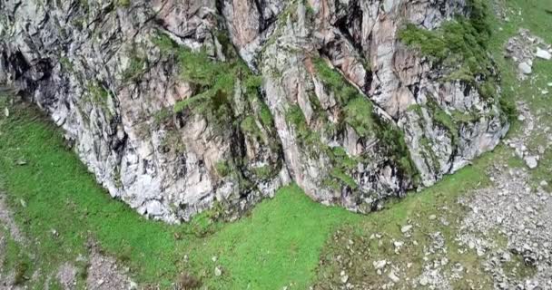 Zielony wąwóz z lasem w górach. — Wideo stockowe