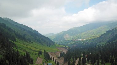Dağlarda ormanla kaplı yeşil vadi..