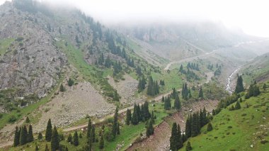 Dağlarda ormanla kaplı yeşil vadi..