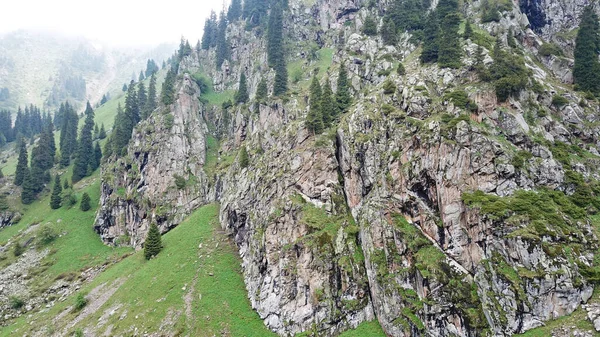 Gola verde con foresta in montagna. — Foto Stock