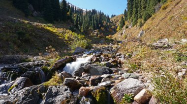 Dağlar ve çayırlar vadisindeki nehir.