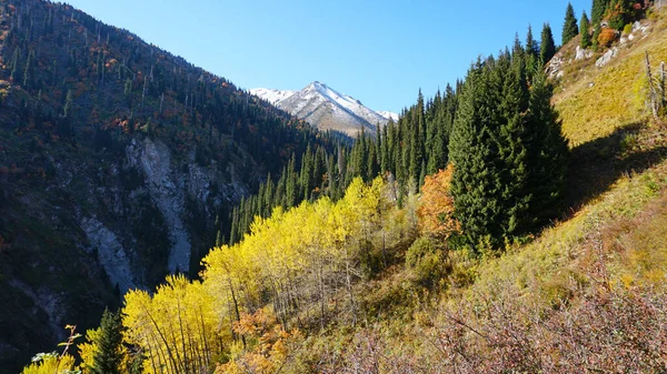 Осенний пейзаж гор и лесов. — стоковое фото