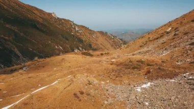 Dağlarda sonbahar. Sarı çimen, yeşil köknar.