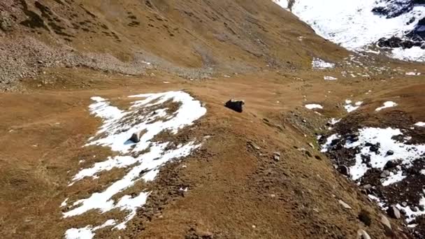 Herfst bergen bedekt met sneeuw op plaatsen. — Stockvideo