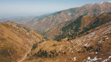 Dağlarda sonbahar. Sarı çimen, yeşil köknar.