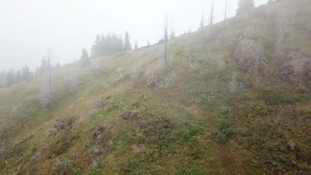 Niebla pesada en las montañas entre el bosque. — Vídeo de stock