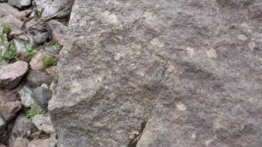 Kullanılmış tıbbi maske doğaya atıldı..