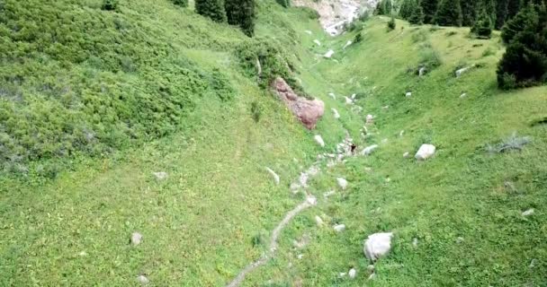 Ein Mann mit Rucksack ist in den Bergen unterwegs — Stockvideo