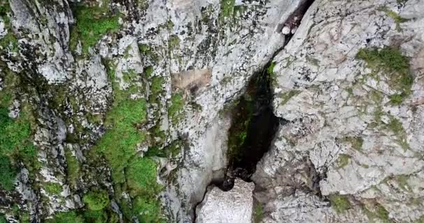 Top view of steep mountain cliffs and an ice cave. — Stock Video