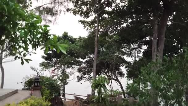 Grüne Insel Chang ist von einem Feuer in Rauch gehüllt — Stockvideo