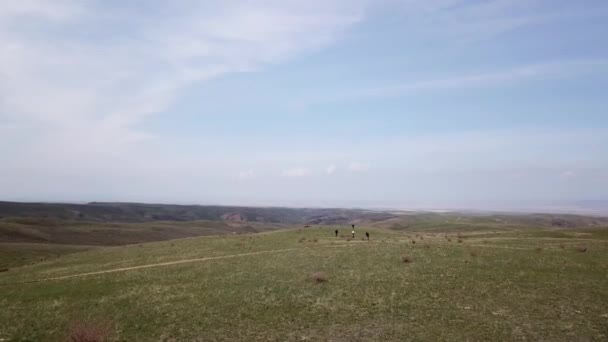 En grupp cyklister rider på den gröna stäppen. — Stockvideo