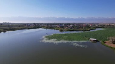 Göletteki lotusların arasındaki SUP tahtalarında rahatla..