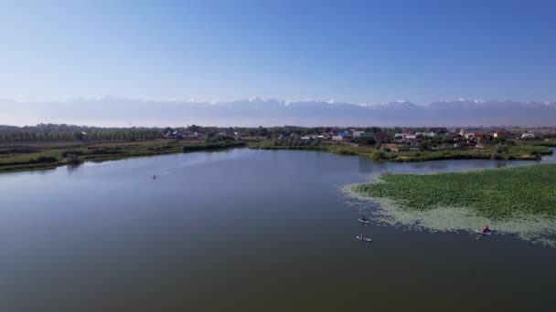 Entspannen Sie sich auf den SUP-Brettern zwischen den Lotusblüten im Teich. — Stockvideo