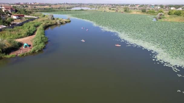 사람들은 복권을 가지고 연못에서 파도타기 판에서 수영을 한다 — 비디오