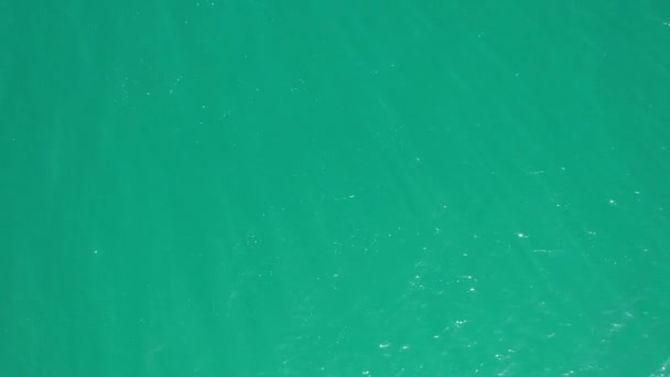 Blick auf das grüne Wasser. Hintergrund Wasser. — Stockvideo