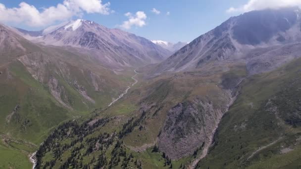 Auf einer Drohne zwischen Tannen und Bergen fliegen. — Stockvideo