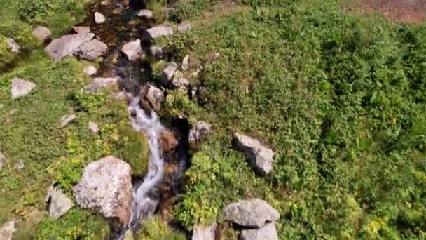 Un petit étang et un ruisseau dans une forêt de montagne. — Video