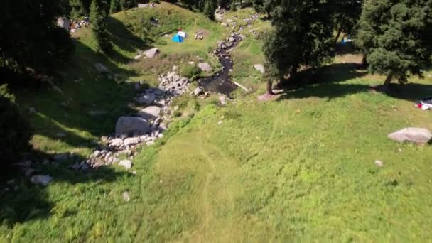 山の森の中の小さな池と小川. — ストック動画