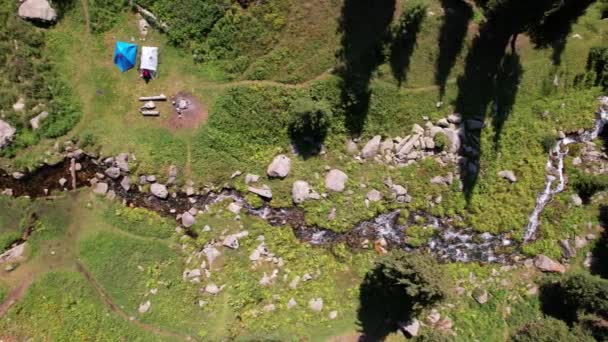 Uma pequena lagoa e um riacho em uma floresta de montanha. — Vídeo de Stock