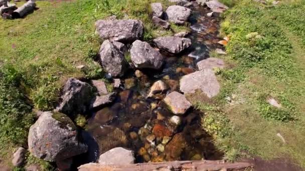 Un piccolo stagno e un ruscello in una foresta di montagna. — Video Stock