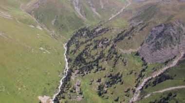 Bir dağ nehri yeşil bir geçitten akıyor..