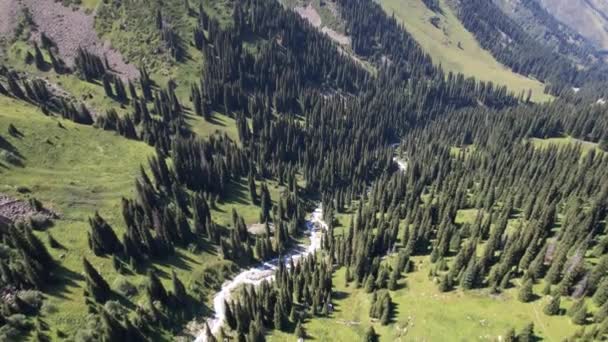 Гірська річка тече через зелену ущелину . — стокове відео