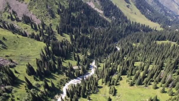 Ein Gebirgsfluss fließt durch eine grüne Schlucht. — Stockvideo