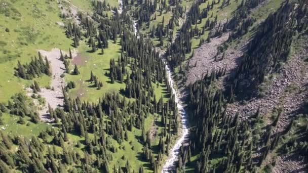 Ein Gebirgsfluss fließt durch eine grüne Schlucht. — Stockvideo