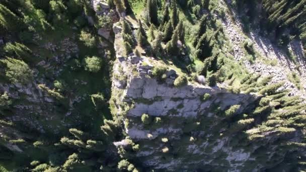 Wysoka skała w środku lasu w górach — Wideo stockowe