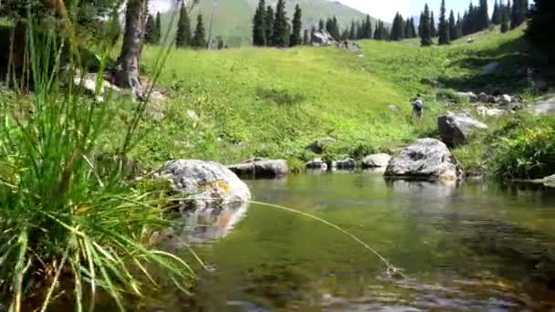 Gebirgsklares Wasser von Bächen und grünen Feldern. — Stockvideo