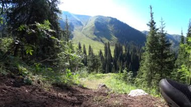 Sırt çantalı bir adam ormanda yürüyor..