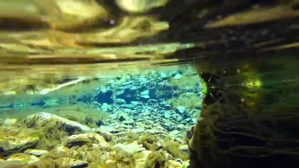 Ένας απίστευτος υποθαλάσσιος κόσμος ενός ορεινού ποταμού — Αρχείο Βίντεο