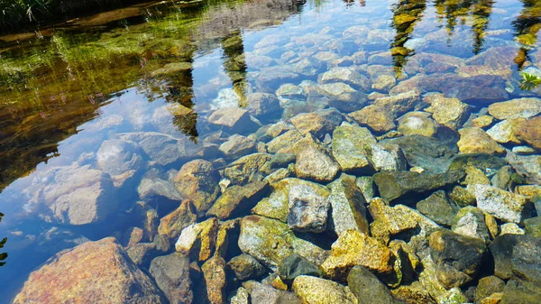 Bergklares Wasser Des Baches Und Grüne Wiesen Ufer Liegen Große — Stockfoto