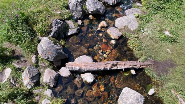 Ein Kleiner Teich Und Ein Bach Einem Bergwald Der Fluss — Stockfoto