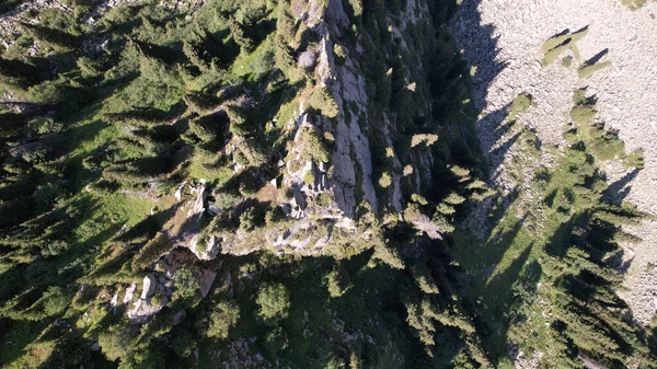 Ein Hoher Felsen Inmitten Eines Waldes Den Bergen Grüne Nadelbäume — Stockfoto