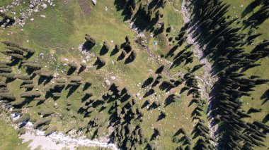 Dağ ormanında küçük bir gölet ve bir dere..