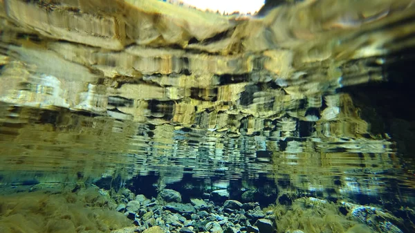 En otrolig undervattensvärld i en bergsflod — Stockfoto