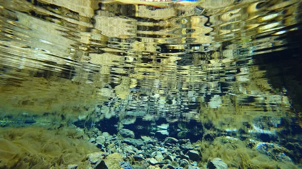 Невероятный подводный мир горной реки — стоковое фото