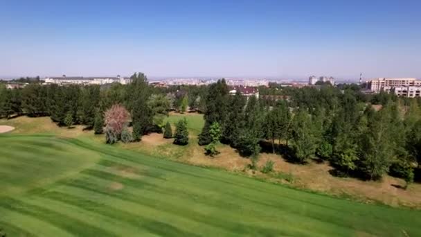 Πάνω άποψη του παιχνιδιού για το πράσινο γήπεδο του γκολφ — Αρχείο Βίντεο